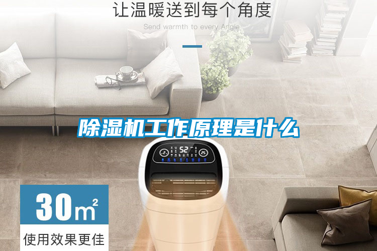 欧美成色手机在线观看 除湿机工作原理是什么
