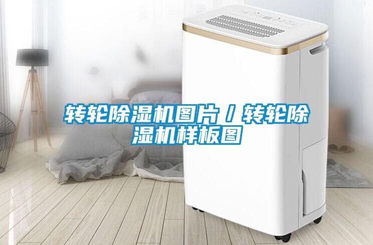 欧美成色手机在线观看 转轮除湿机图片／转轮除湿机样板图
