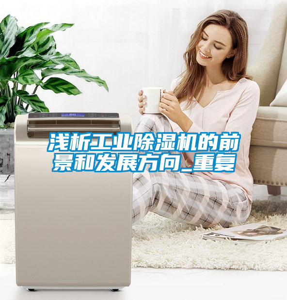 欧美黄色性爱视频网站 浅析工业除湿机的前景和发展方向_重复