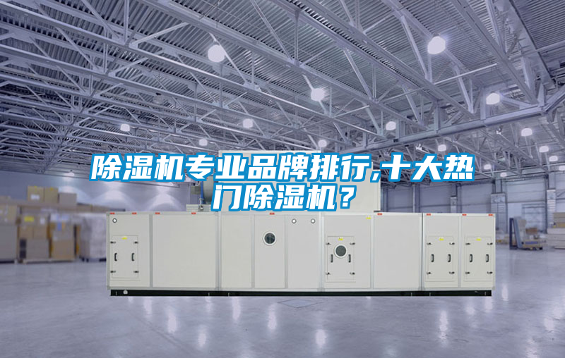 欧美黄色电影在线播放 除湿机专业品牌排行,十大热门除湿机？