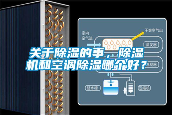 欧美成色手机在线观看 关于除湿的事，除湿机和空调除湿哪个好？