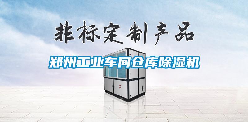 欧美黄色性爱视频网站 郑州工业车间仓库除湿机