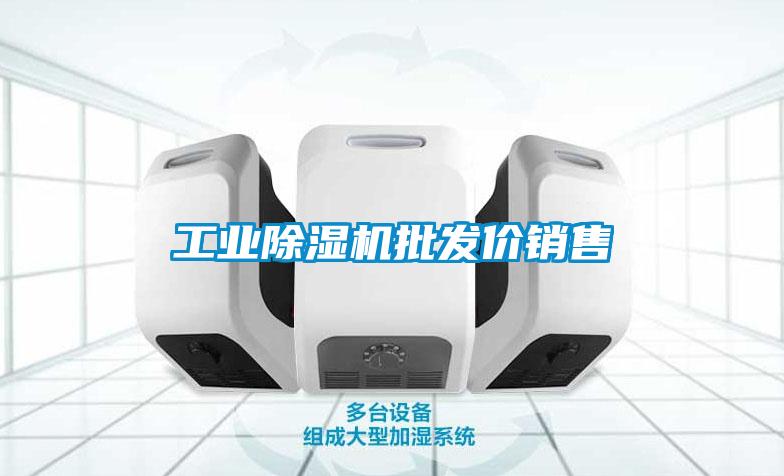 欧美黄色电影在线播放 工业除湿机批发价销售