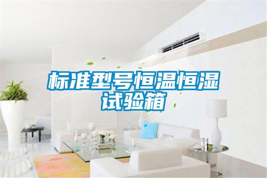 欧美成色手机在线观看 标准型号恒温恒湿试验箱