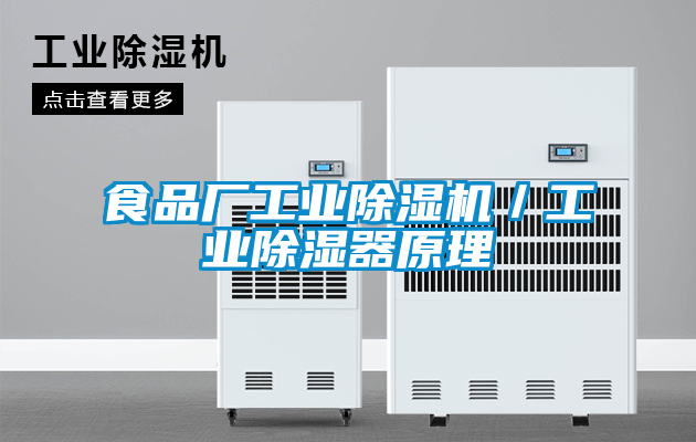 欧美黄色性爱视频网站 食品厂工业除湿机／工业除湿器原理