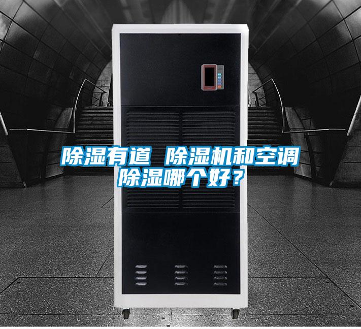 欧美成色手机在线观看 除湿有道 除湿机和空调除湿哪个好？