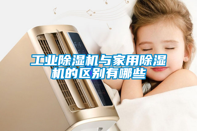 欧美黄色性爱视频网站 工业除湿机与家用除湿机的区别有哪些