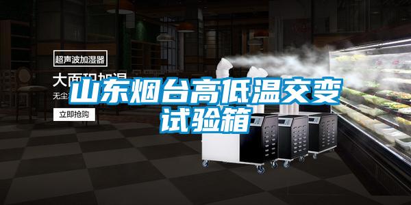 欧美成色手机在线观看 山东烟台高低温交变试验箱