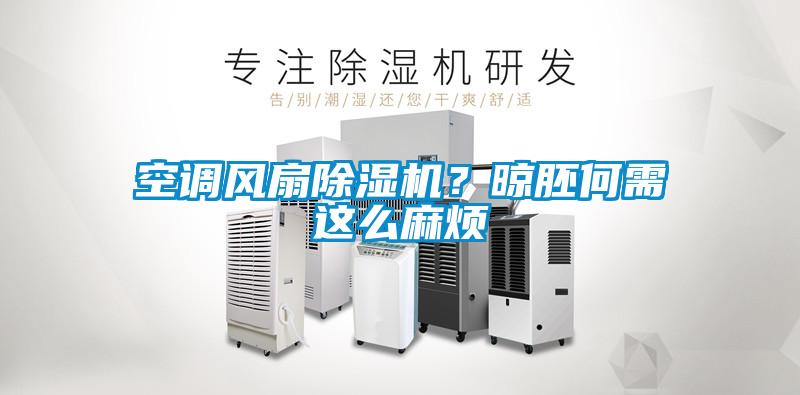 欧美成色手机在线观看 空调风扇除湿机？晾胚何需这么麻烦