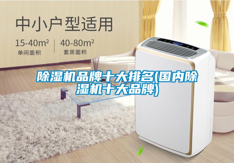 欧美成色手机在线观看 除湿机品牌十大排名(国内除湿机十大品牌)