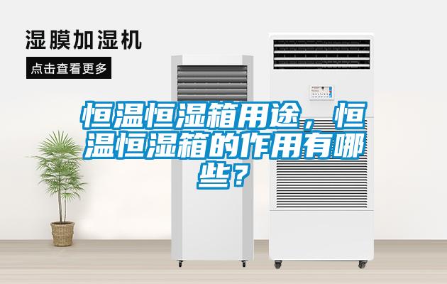 欧美黄色电影在线播放 恒温恒湿箱用途，恒温恒湿箱的作用有哪些？