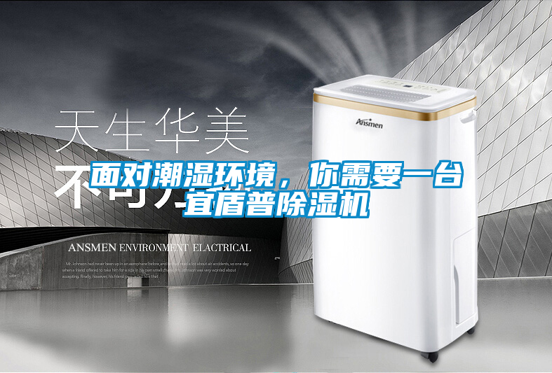 欧美黄色电影在线播放 面对潮湿环境，你需要一台宜盾普除湿机