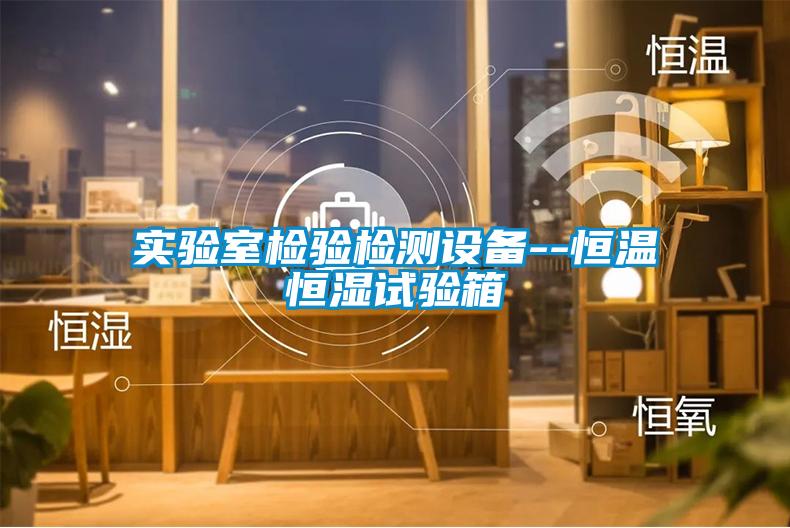 欧美黄色电影在线播放 实验室检验检测设备--恒温恒湿试验箱