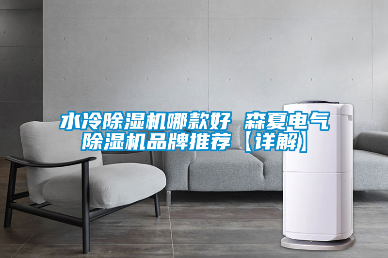 欧美黄色性爱视频网站 水冷除湿机哪款好 森夏电气除湿机品牌推荐【详解】