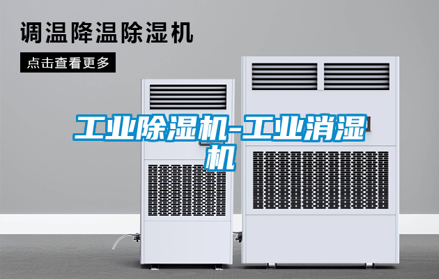 欧美成色手机在线观看 工业除湿机-工业消湿机