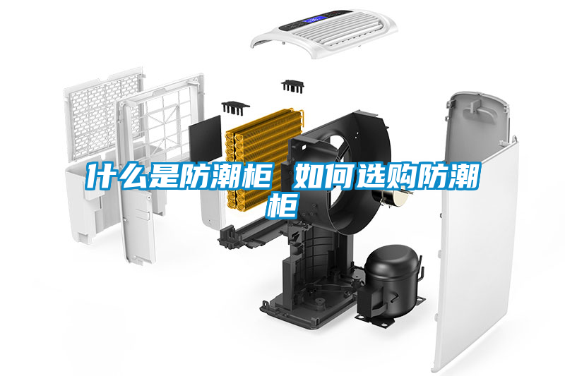 欧美黄色性爱视频网站 什么是防潮柜 如何选购防潮柜