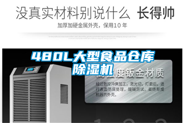 欧美黄色电影在线播放 480L大型食品仓库除湿机