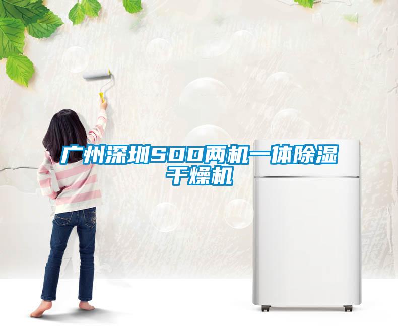 欧美黄色电影在线播放 广州深圳SDD两机一体除湿干燥机