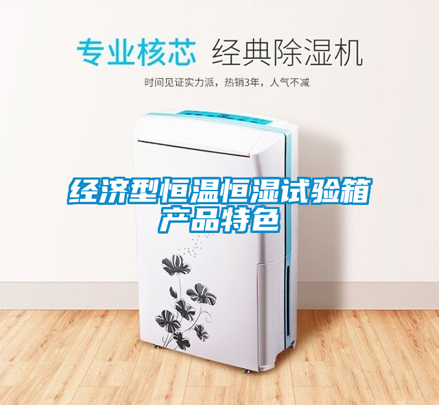 欧美成色手机在线观看 经济型恒温恒湿试验箱产品特色