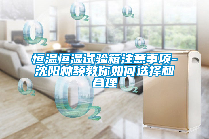 欧美黄色电影在线播放 恒温恒湿试验箱注意事项-沈阳林频教你如何选择和合理