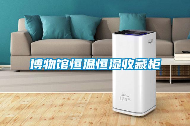 欧美黄色电影在线播放 博物馆恒温恒湿收藏柜