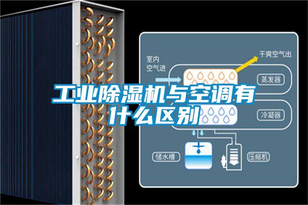 欧美黄色电影在线播放 工业除湿机与空调有什么区别