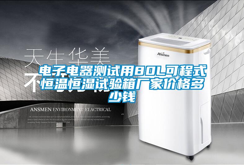 欧美成色手机在线观看 电子电器测试用80L可程式恒温恒湿试验箱厂家价格多少钱