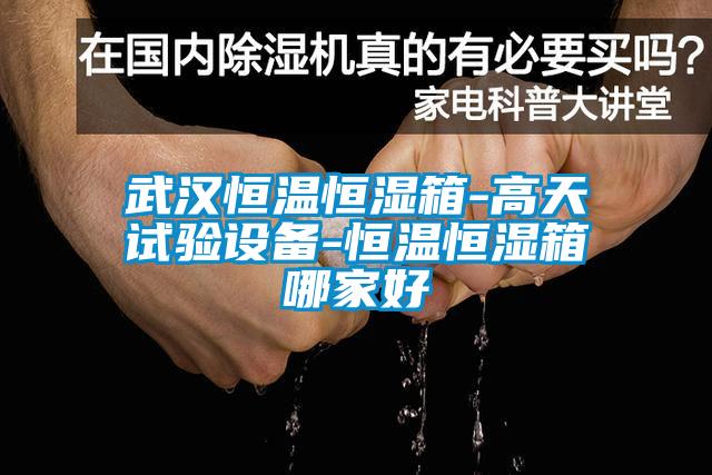 欧美成色手机在线观看 武汉恒温恒湿箱-高天试验设备-恒温恒湿箱哪家好