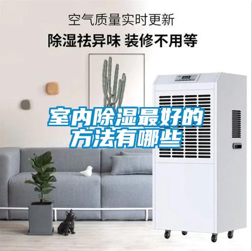 欧美黄色性爱视频网站 室内除湿最好的方法有哪些