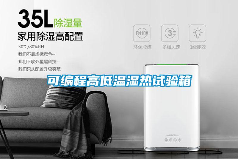 欧美成色手机在线观看 可编程高低温湿热试验箱