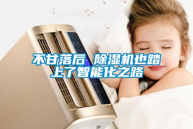 欧美成色手机在线观看 不甘落后 除湿机也踏上了智能化之路