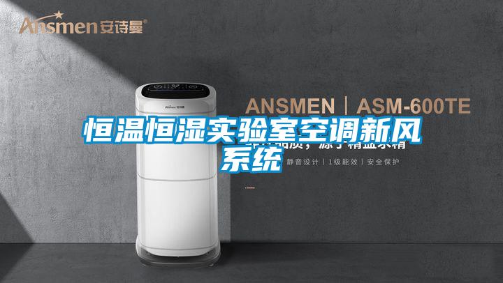欧美黄色电影在线播放 恒温恒湿实验室空调新风系统