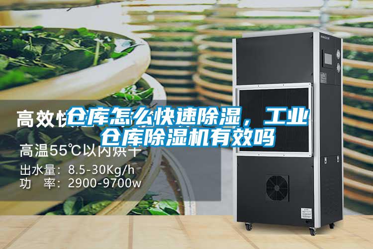 欧美黄色性爱视频网站 仓库怎么快速除湿，工业仓库除湿机有效吗