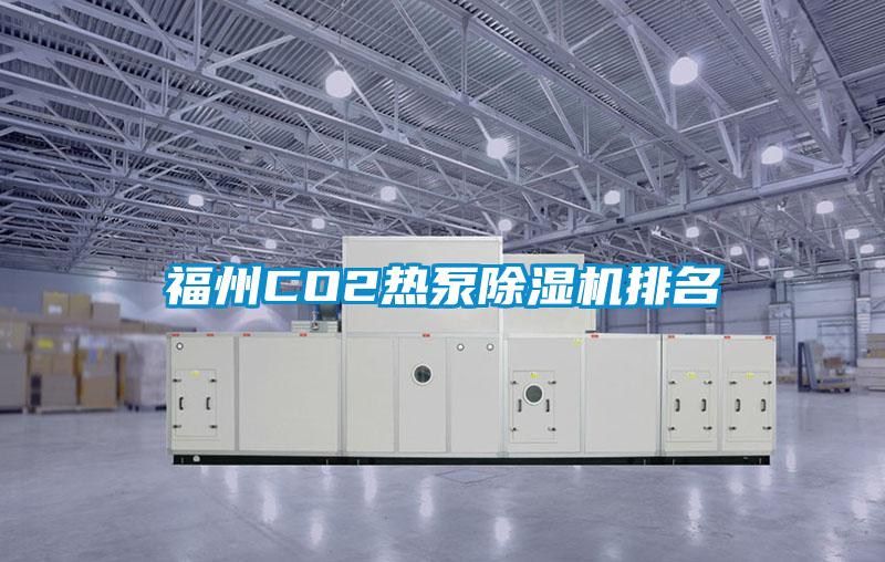 欧美黄色性爱视频网站 福州CO2热泵除湿机排名