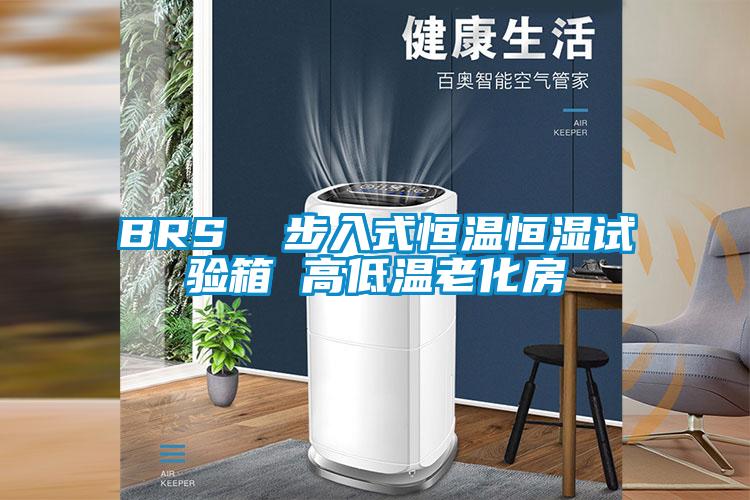 欧美黄色性爱视频网站 BRS  步入式恒温恒湿试验箱 高低温老化房
