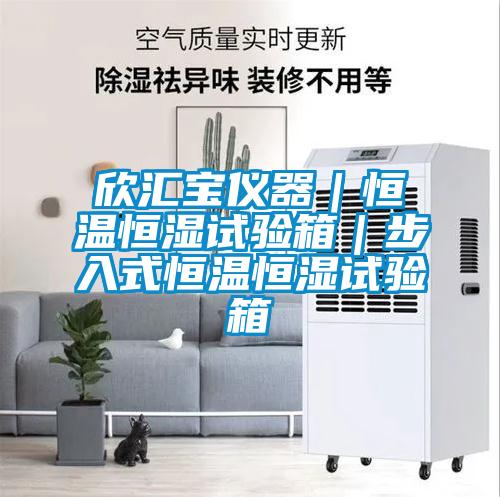 欧美黄色电影在线播放 欣汇宝仪器｜恒温恒湿试验箱｜步入式恒温恒湿试验箱