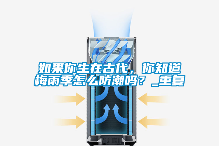 欧美成色手机在线观看 如果你生在古代，你知道梅雨季怎么防潮吗？_重复