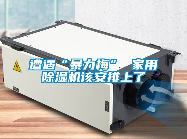 欧美成色手机在线观看 遭遇“暴力梅” 家用除湿机该安排上了