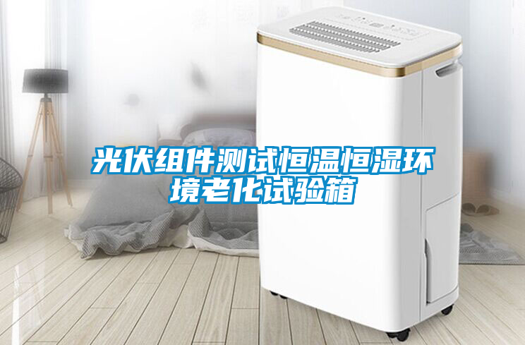 欧美黄色电影在线播放 光伏组件测试恒温恒湿环境老化试验箱