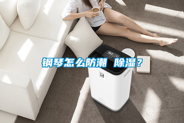 欧美黄色性爱视频网站 钢琴怎么防潮 除湿？