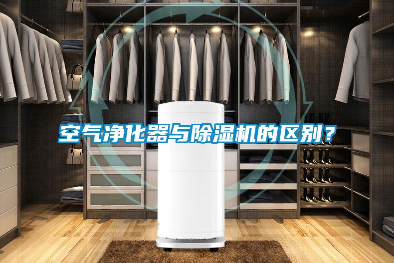 欧美黄色电影在线播放 空气净化器与除湿机的区别？