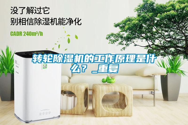 欧美成色手机在线观看 转轮除湿机的工作原理是什么？_重复