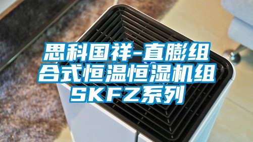欧美成色手机在线观看 思科国祥-直膨组合式恒温恒湿机组SKFZ系列