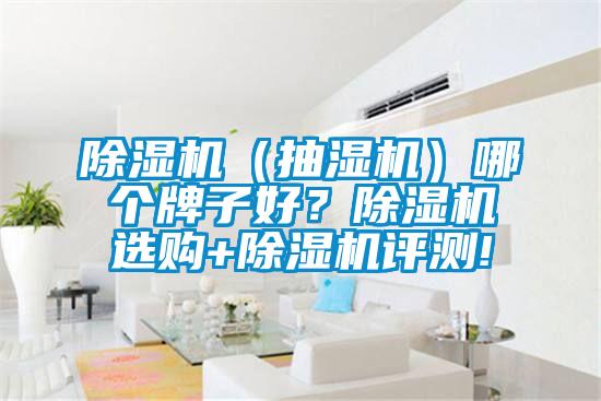 欧美成色手机在线观看 除湿机（抽湿机）哪个牌子好？除湿机选购+除湿机评测!