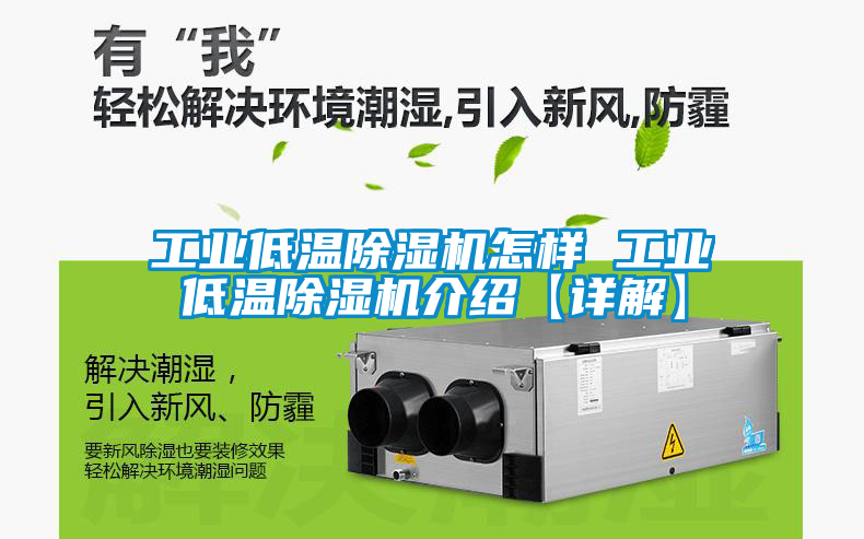 欧美成色手机在线观看 工业低温除湿机怎样 工业低温除湿机介绍【详解】