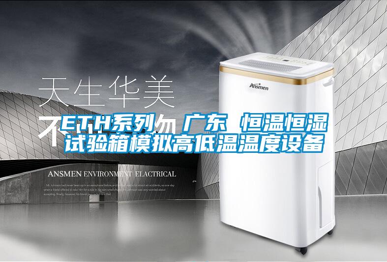 欧美黄色性爱视频网站 ETH系列  广东 恒温恒湿试验箱模拟高低温温度设备
