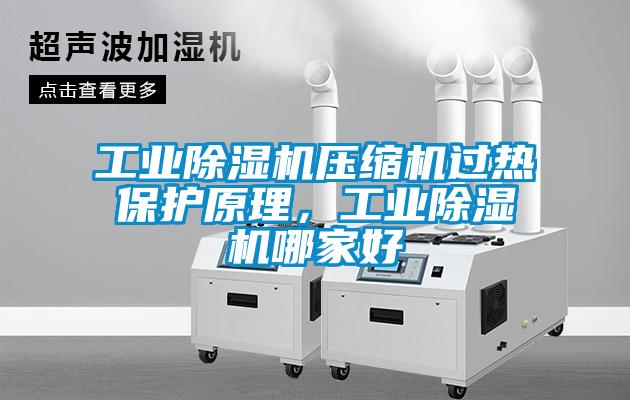欧美黄色性爱视频网站 工业除湿机压缩机过热保护原理，工业除湿机哪家好