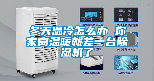欧美黄色性爱视频网站 冬天湿冷怎么办 你家离温暖就差一台除湿机了