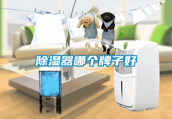 欧美黄色电影在线播放 除湿器哪个牌子好