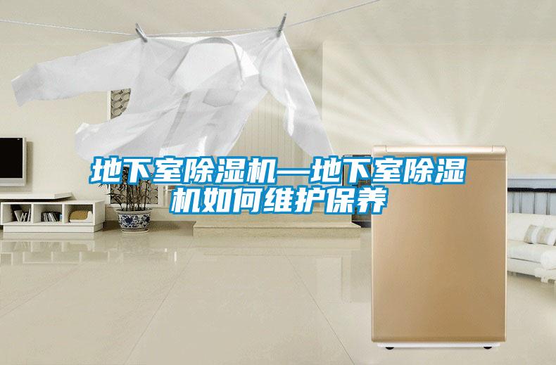 欧美黄色电影在线播放 地下室除湿机—地下室除湿机如何维护保养